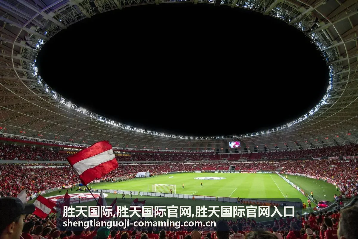 胜天国际官网入口多场景访问说明